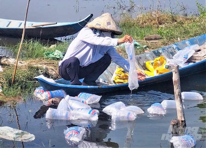 Ngay sau những ngày đầu năm mới Giáp Thìn 2024, nông dân các huyện vùng U Minh Thượng, tỉnh Kiên Giang đã tất vào vụ thả giống nuôi tôm nước lợ. Ảnh: Trung Chánh.