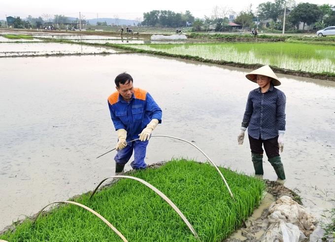 Trước Tết Nguyên đán, thời tiết ở Tuyên Quang có rét đậm, rét hại kéo dài, do đó ảnh hưởng đến lịch gieo cấy.