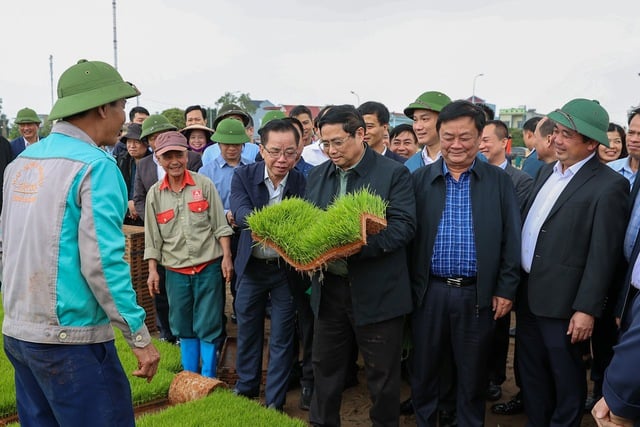 Thủ tướng Phạm Minh Chính thăm khu vực sản xuất mạ khay và cánh đồng gieo sạ bằng máy. Ảnh: VGP/Nhật Bắc.