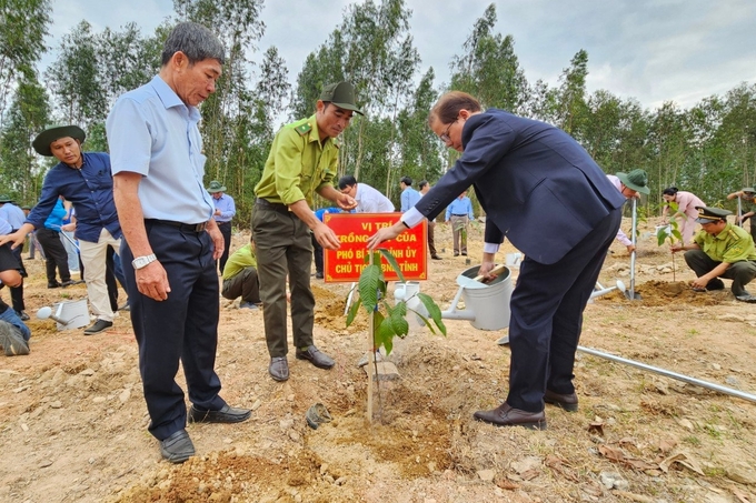 Chủ tịch UBND tỉnh Khánh Hòa Nguyễn Tấn Tuân tưới nước cho cây vừa mới trồng. Ảnh: KS.