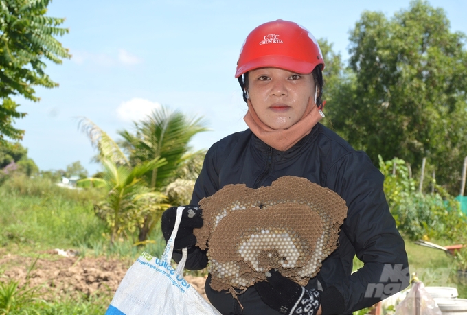 Chị Quách Kim Y gắn bó với nghề săn ong vò vẽ khoảng 4 năm nay. Hoàn cảnh gia đình khó khăn, buộc chị phải lao vào cuộc sống mưu sinh với nghề đầy nguy hiểm. Ảnh: Kim Anh.