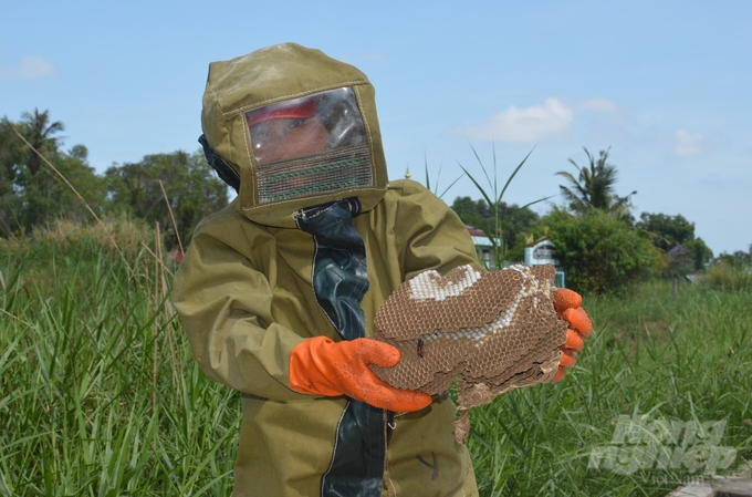 Thành quả sau một ngày lao động vất vả trung bình chị Y thu được khoảng 1kg tổ nhộng ong. Ảnh: Kim Anh.