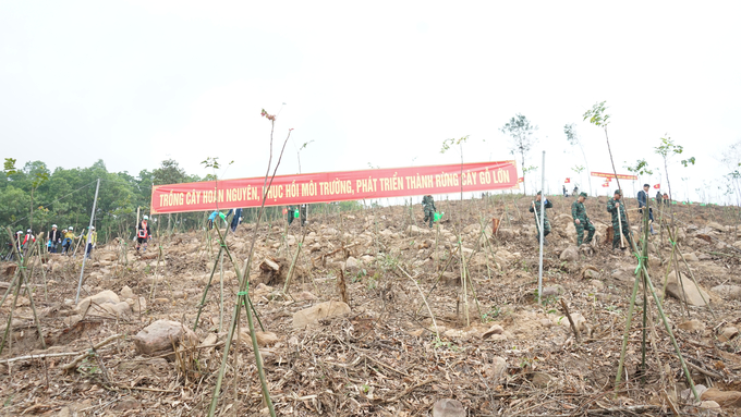 Quảng Ninh đặt mục tiêu trồng 5 triệu cây xanh trong năm 2024. Ảnh: Nguyễn Thành.