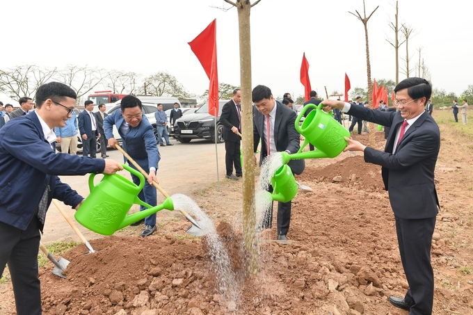 Ông Phạm Văn Lập – Chủ tịch HĐND TP Hải Phòng trồng cây xanh tại huyện Tiên Lãng. Ảnh: Phương Mai.