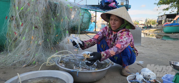 Chuyến biển đầu năm luôn thuận lợi vì sóng yên biển lặng dễ đánh bắt, cho thu nhiều 'lộc biển' hơn những ngày thường trong năm. Ảnh: MS.