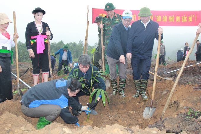 Trong ngày đầu hưởng ứng Tết trồng cây, tỉnh Yên Bái dự kiến sẽ trồng 350ha rừng các loại. Ảnh: Thanh Tiến.