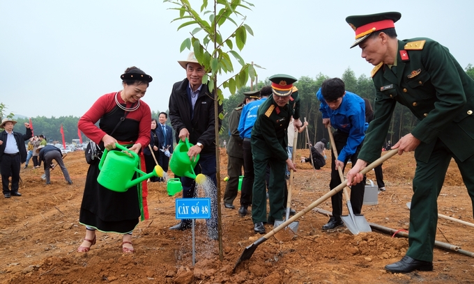 Đề án 1 tỷ cây xanh ngày càng được đông đảo tầng lớp người dân quan tâm, ủng hộ. Ảnh: Bảo Thắng.