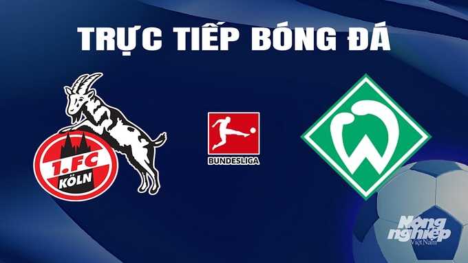 Trực tiếp bóng đá Bundesliga 2023/24 giữa Koln vs Werder Bremen hôm nay 17/2/2024