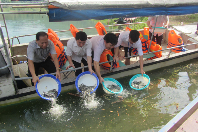 Thúc đẩy cộng đồng, tổ chức, cá nhân tham gia bảo vệ nguồn lợi thủy sản.