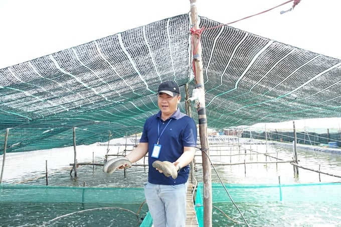Sea cucumber expert Nguyen Dinh Quang Duy. Photo: Linh Linh.