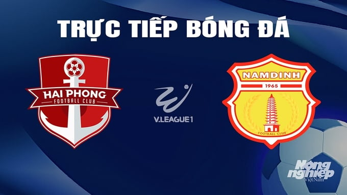 Trực tiếp bóng đá V-League 2023/24 giữa Hải Phòng vs Nam Định hôm nay 17/2/2024