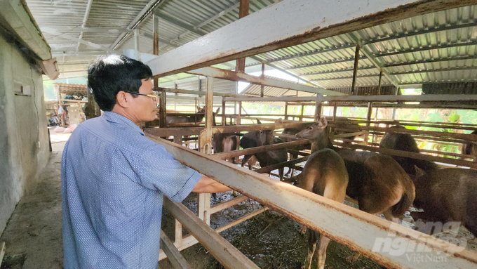 Ông Ba Long búng búng ngón ngón tay, miệng gọi 'lộc, lộc, lộc' đàn nai vẫy đuôi xúm lại nơi ông đang đứng thân thiện như những người bạn quen thuộc. Ảnh: Minh Sáng.