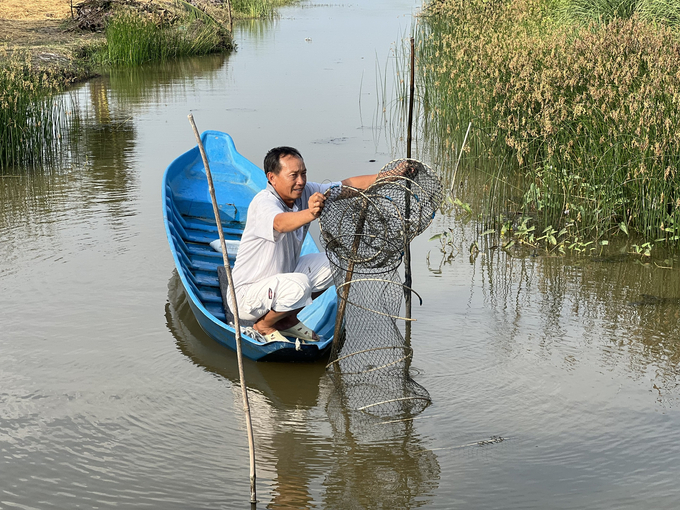 Mô hình lúa - tôm thích ứng với biến đổi khí hậu, nhất là hạn mặn đang được nhân rộng tại vùng bán đảo Cà Mau. Ảnh: Trọng Linh.