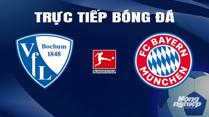 Trực tiếp bóng đá Bundesliga 2023/24 giữa Bochum vs Bayern Munich hôm nay 18/2/2024