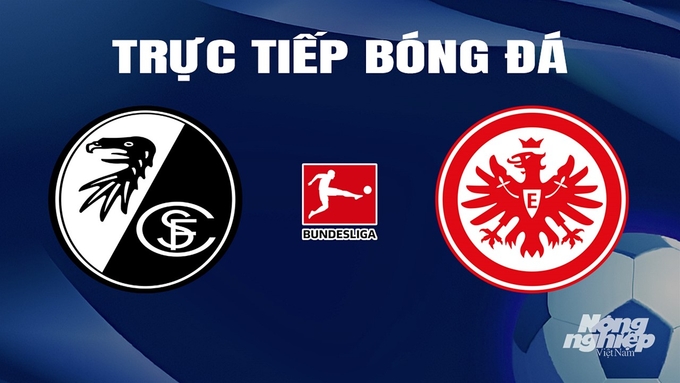 Trực tiếp bóng đá Bundesliga 2023/24 giữa Freiburg vs Eintracht Frankfurt hôm nay 18/2/2024