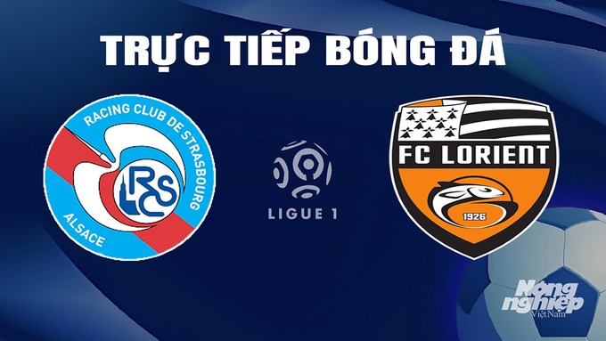 Trực tiếp bóng đá Ligue 1 (VĐQG Pháp) 2023/24 giữa Strasbourg vs Lorient hôm nay 18/2/2024