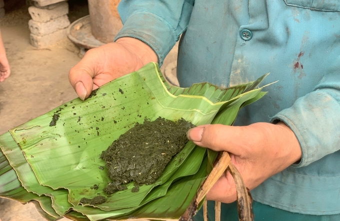 Trước khi thu hoạch cặp nhung khoảng 800g, gia đình ông Hưng, ở xã An Hòa Thịnh, huyện Hương Sơn chuẩn bị lá cây cầm máu cho hươu sau khi cắt.