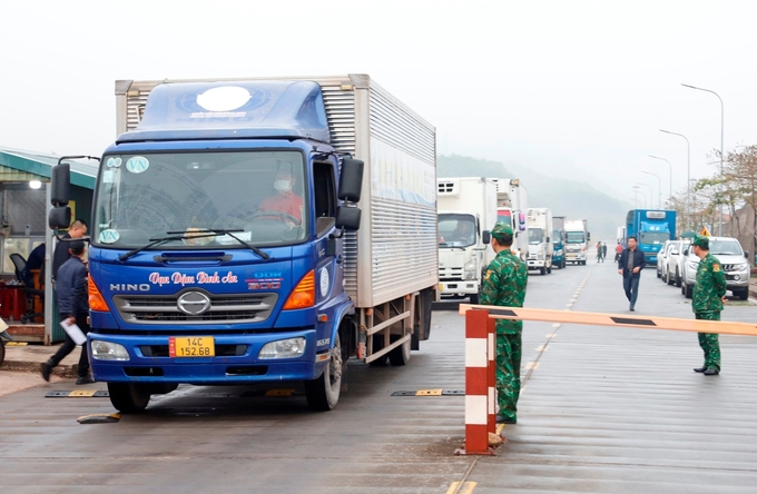 Hàng hóa xuất khẩu được ưu tiên đi trước bao gồm hải sản tươi sống, hải sản đông lạnh và hàng hoa quả như mít, thanh long. Ảnh: Nguyễn Thành.