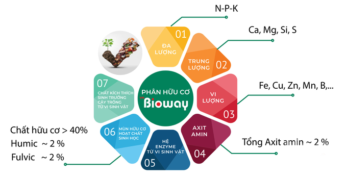Thành phần ưu việt trong phân bón sửu dụng công nghệ Bioway At-6H và các dòng sản phẩm tiêu biểu. Ảnh: Thanh Liêm.