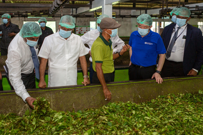 Tổng giám đốc FAO Khuất Đông Ngọc thăm nhà máy chế biến chè cùng lãnh đạo cấp cao các nước tại Sri Lanka. Ảnh: FAO.