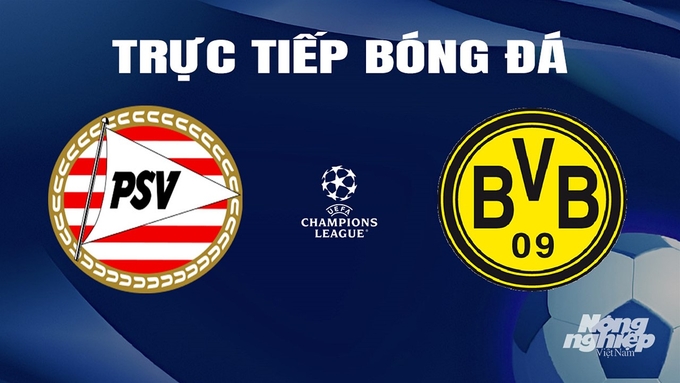 Trực tiếp bóng đá Cúp C1 Châu Âu giữa PSV vs Dortmund hôm nay 21/2/2024