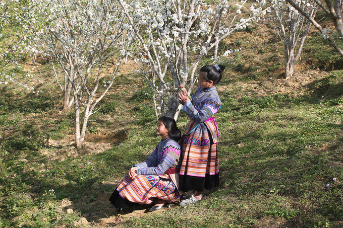 Không chỉ có khách du lịch, nhiều thôn nữ người Mông trong vùng cũng tranh thủ ngắm hoa. Ảnh: Xuân Cường.