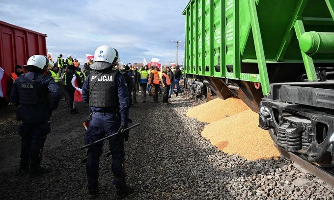 Nông dân Ba Lan chặn tàu, đổ ngũ cốc ra đường ray tại cửa khẩu Medyka. Ảnh: EPA.