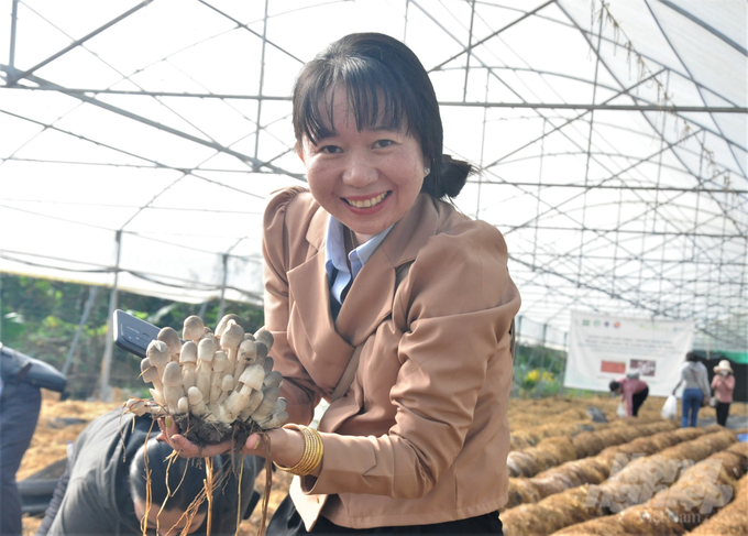 Dự án kinh tế nông nghiệp tuần hoàn từ rơm - Rice Eco, giúp di chuyển rơm ra khỏi ruộng, giảm khí thải các bon, tạo việc làm và tăng thu nhập cho người trồng lúa. Ảnh: Trung Chánh.