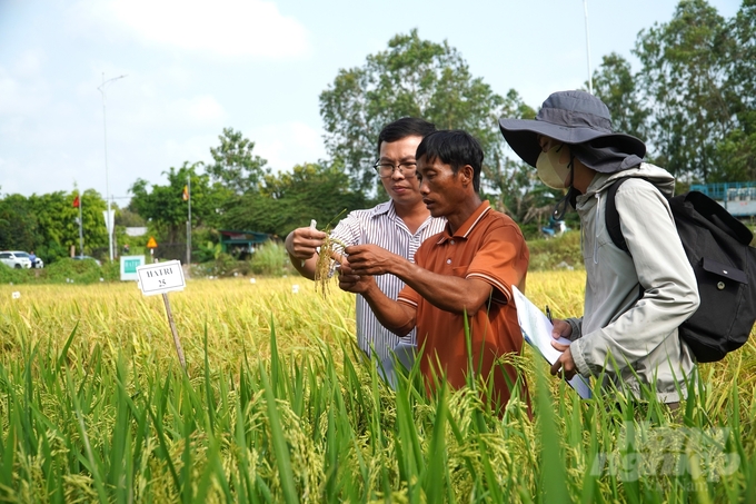 Ngành nông nghiệp các địa phương vùng ĐBSCL và bà con nông dân tìm hiểu về những đặc tính của các giống lúa mới. Ảnh: Kim Anh.