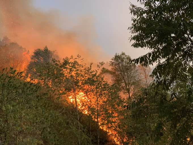 Huyện Mù Cang Chải liên tiếp xảy ra 3 vụ cháy làm thiệt hại 13 ha rừng các loại.