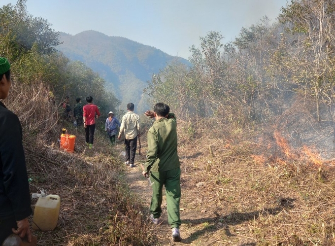 Hơn 800 người tham gia chữa cháy rừng đã kịp thời dập tắt các đám cháy ngay trong ngày, không để lan rộng.