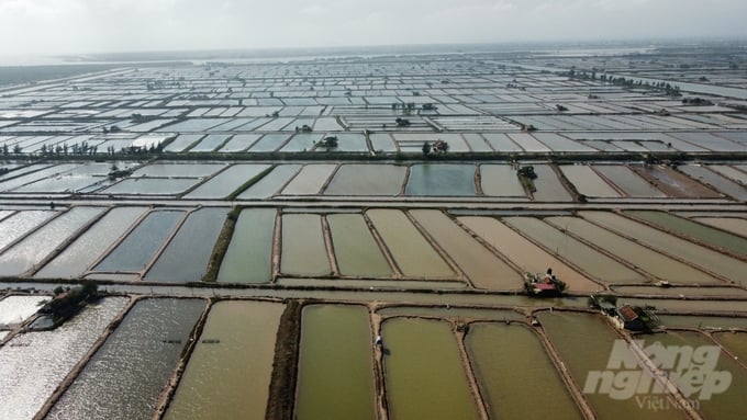 Đầm bãi nuôi trồng thủy sản tại khu vực Cồn Xanh (huyện Nghĩa Hưng, Nam Định).