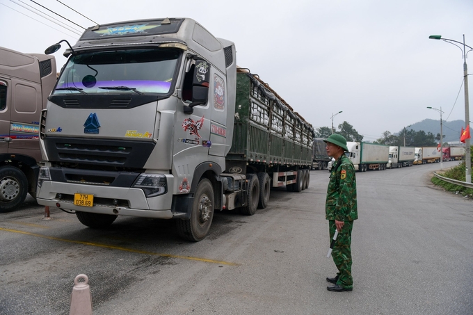 Theo thống kê của Trạm Biên phòng Hữu Nghị, tại cửa khẩu Hữu Nghị, từ sau Tết Nguyên đán tới nay, lượng nông sản xuất khẩu giảm 50% so với cùng kỳ năm 2023. Nguyên nhân có thể do chính sách thuế phía Trung Quốc. Một số thương lái cho biết hàng qua cửa khẩu Tân Thanh, sang Pò Chài - Trung Quốc, bị đánh thuế thấp hơn. Đây có thể là nguyên nhân nông sản qua Lạng Sơn những ngày gần đây tập trung nhiều ở Tân Thanh. 