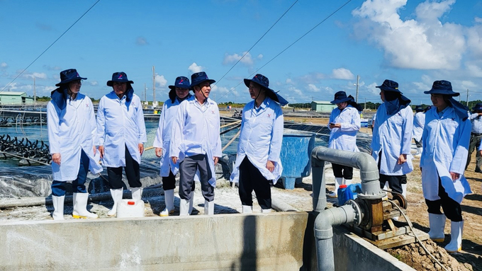 Thứ trưởng Phùng Đức Tiến cùng đoàn tham quan mô hình nuôi tôm siêu thâm canh tuần hoàn nước của Công ty GrowMax tại huyện Đông Hải. Ảnh: Trọng Linh.