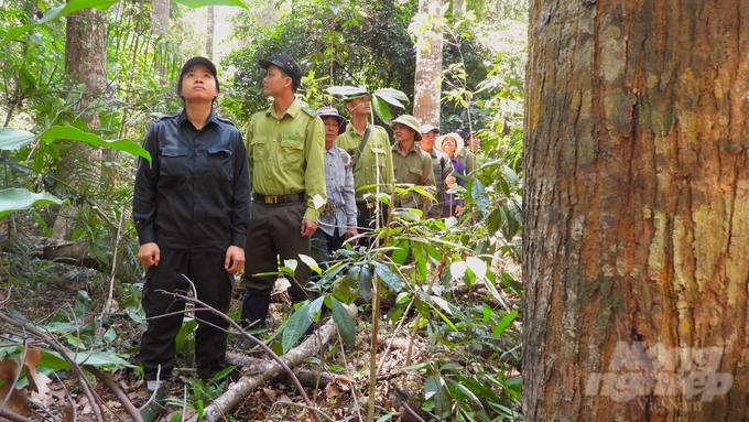 Lực lượng chức năng VQG Cát Tiên tăng cường tuần tra kiểm soát bảo vệ rừng. Ảnh: Trần Phi.