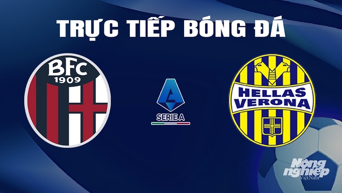 Trực tiếp bóng đá Serie A 2023/24 giữa Bologna vs Hellas Verona hôm nay 24/2/2024