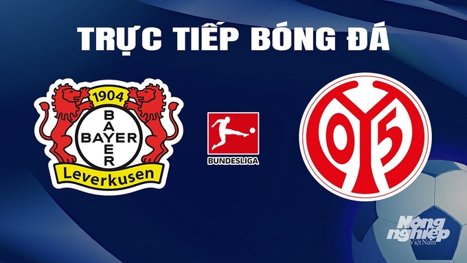 Trực tiếp bóng đá Bundesliga 2023/24 giữa Bayer Leverkusen vs Mainz 05 hôm nay 24/2/2024