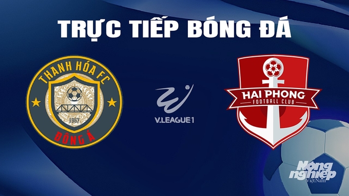 Trực tiếp bóng đá V-League 2023/24 giữa Thanh Hóa vs Hải Phòng hôm nay 23/2/2024