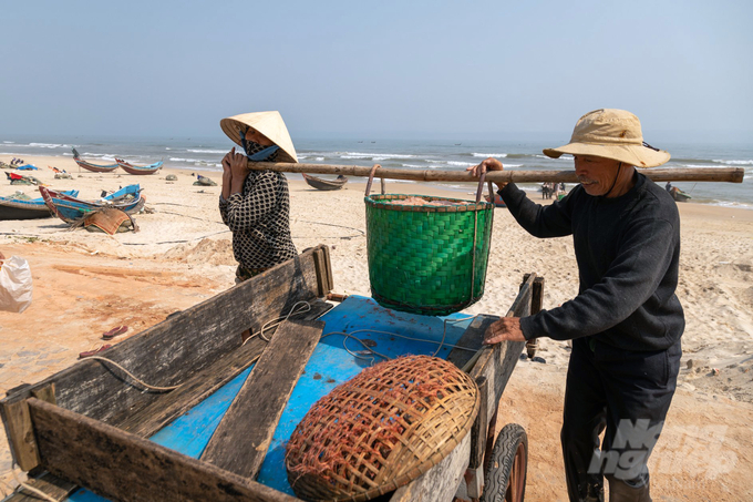 Những ngày đầu năm, ngư dân vùng bãi ngang Quảng Trị được mùa ruốc biển. Ảnh: VD.