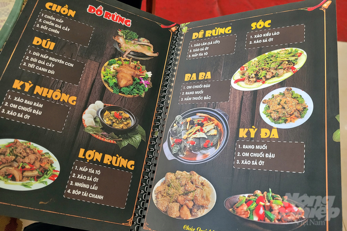 Các món ăn được giới thiệu có nguồn gốc hoang dã xuất hiện tại nhiều nhà hàng ở huyện Hướng Hóa và khu vực Khu Kinh tế thương mại đặc biệt Lao Bảo (tỉnh Quảng Trị). Ảnh: NPV.