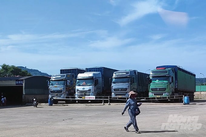 Các phương tiện vận tải ở khu vực Khu Kinh tế thương mại đặc biệt Lao Bảo, tỉnh Quảng Trị. Ảnh: NPV.