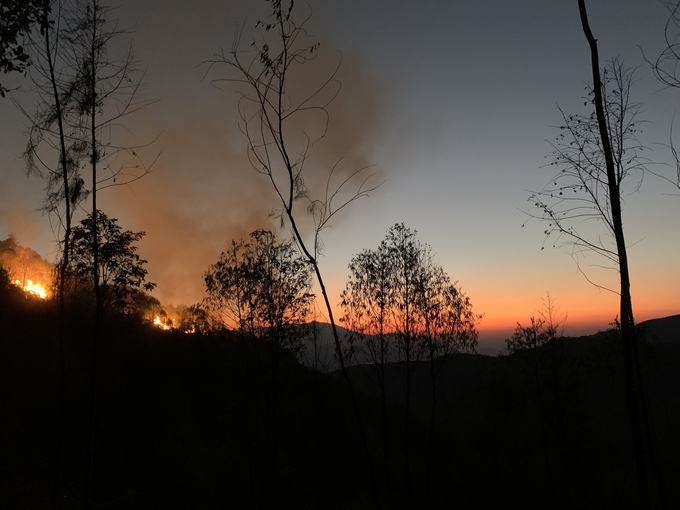 Nguy cơ xảy ra cháy rừng đang ở cấp nguy hiểm và cực kỳ nguy hiểm tại một số khu vực trong tỉnh Yên Bái. Ảnh: Thanh Tiến.