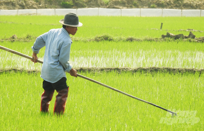 Trong tương lai gần, việc thực hiện cơ giới hóa ở các khâu trên 100% diện tích đất trồng lúa của TP Hà Tĩnh sẽ giúp người nông dân thoát cảnh 'bán mặt cho đất, bán lưng cho trời' tỉa dặm, phun thuốc BVTV. Ảnh: Thanh Nga.