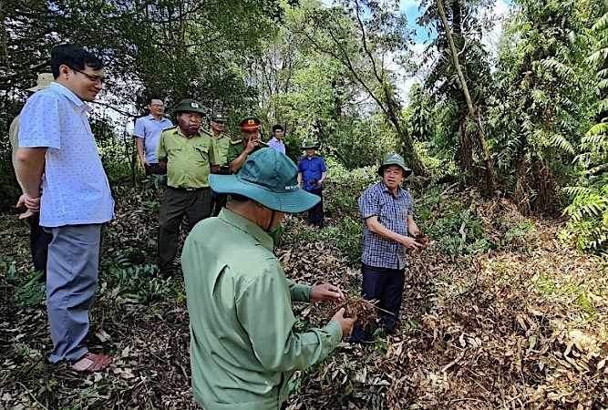 Chủ tịch UBND tỉnh Cà Mau Huỳnh Quốc Việt, kiểm tra tình hình khô hạn tại lâm phần rừng tràm Cà Mau. Ảnh: Trọng Linh.