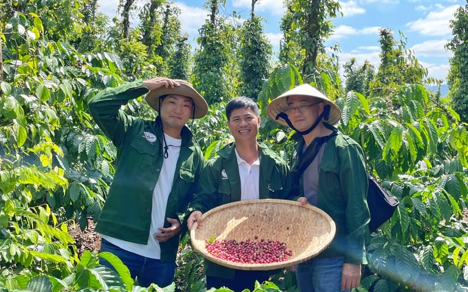 Ông Lê Văn Vương (đứng giữa) hào hứng chia sẻ kinh nghiệm và nhiệt huyết làm cà phê hữu cơ với các nhà nhập khẩu Nhật Bản tới tham quan vườn. Ảnh: TL.