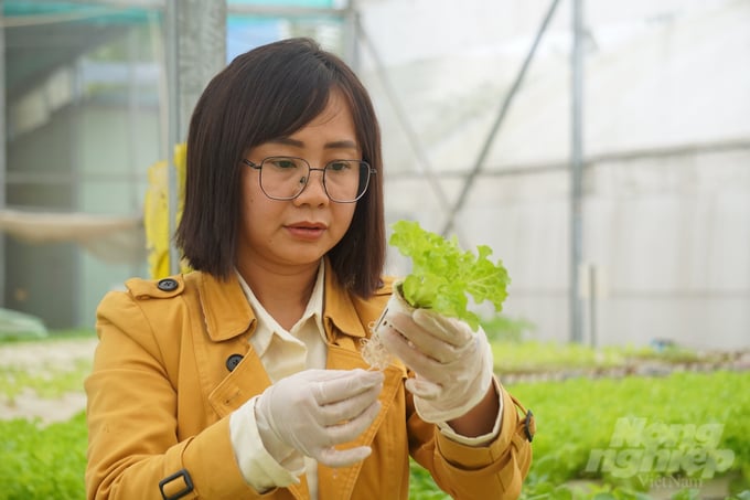 Chị Dung là người đầu tiên ở Thanh Hóa áp dụng phương pháp trồng rau theo phương pháp thủy canh. Ảnh: Quốc Toản.