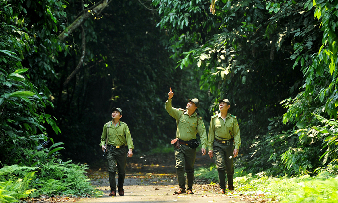 Cán bộ kiểm lâm đi tuần rừng tại vườn quốc gia. Ảnh: VnForest.