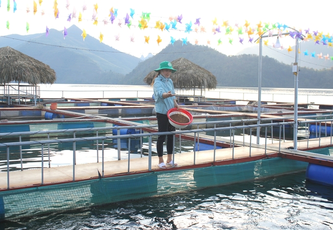 Chị Lò Thị Dung, Giám đốc HTX Thanh niên Thẩm Phé kết hợp nuôi cá lồng và phát triển du lịch. Ảnh: Trung Quân.