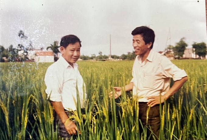 Kỹ sư Nguyễn Tiến Huy trao đổi về lúa xuân.