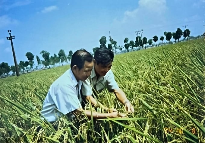 Kỹ sư nông nghiệp Nguyễn Tiến Huy trao đổi về kỹ thuật canh tác lúa xuân đồng ruộng.